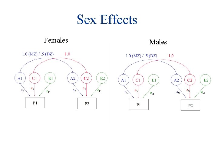 Sex Effects Females Males 