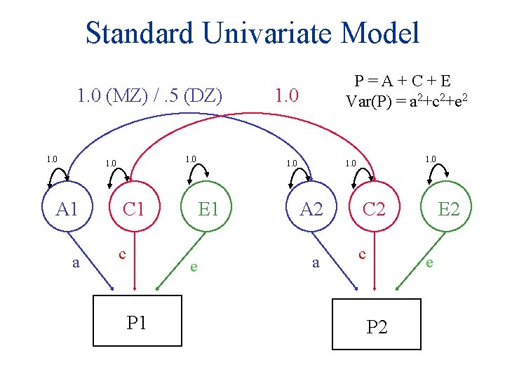 Standard Univariate Model 1. 0 (MZ) /. 5 (DZ) 1. 0 A 1 a