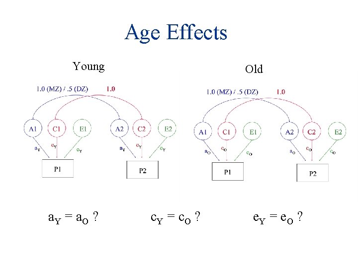Age Effects Young Old a. Y = a. O ? c. Y = c.