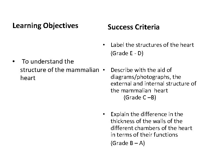 Learning Objectives Success Criteria • Label the structures of the heart (Grade E -