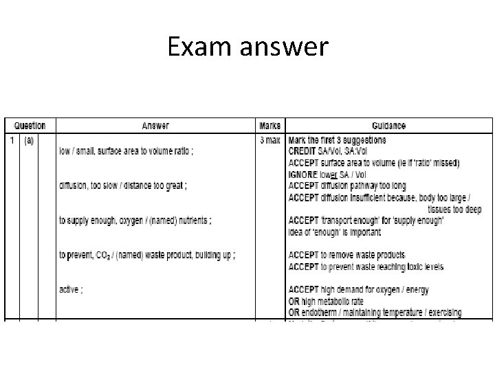 Exam answer 