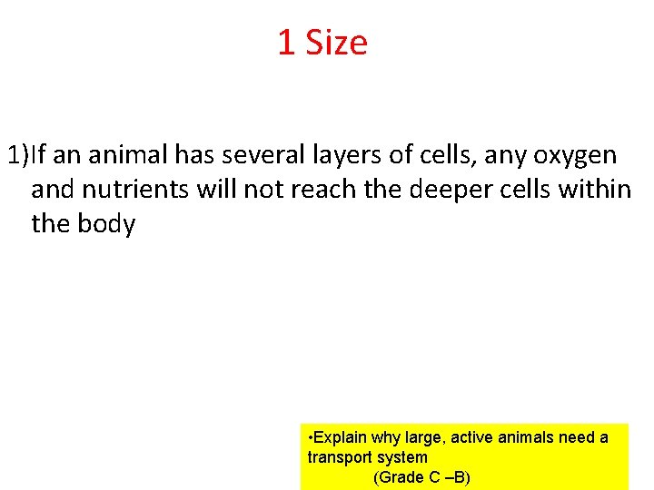 1 Size 1)If an animal has several layers of cells, any oxygen and nutrients