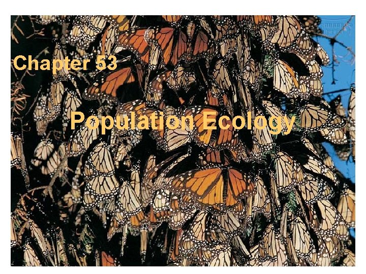 Chapter 53 Population Ecology 