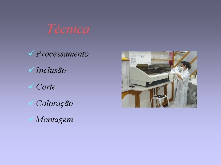 Técnica ü Processamento ü Inclusão ü Corte ü Coloração ü Montagem 