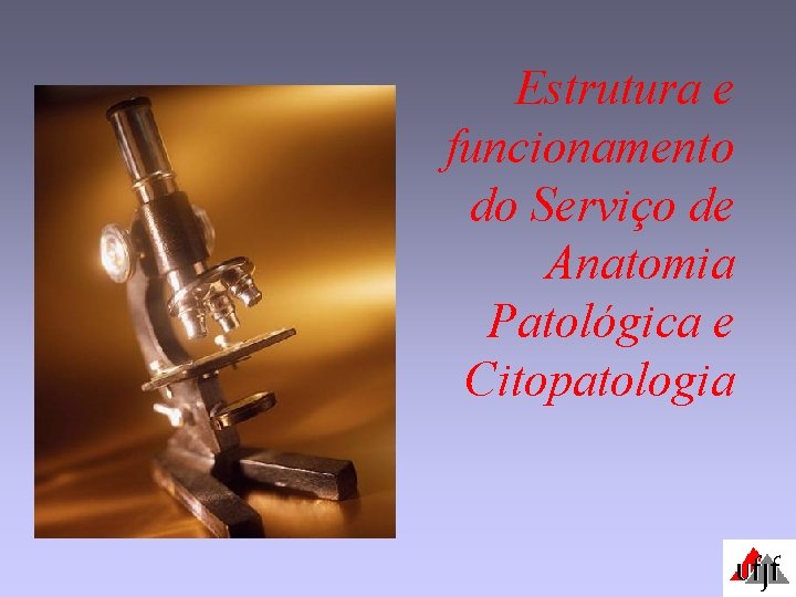 Estrutura e funcionamento do Serviço de Anatomia Patológica e Citopatologia 