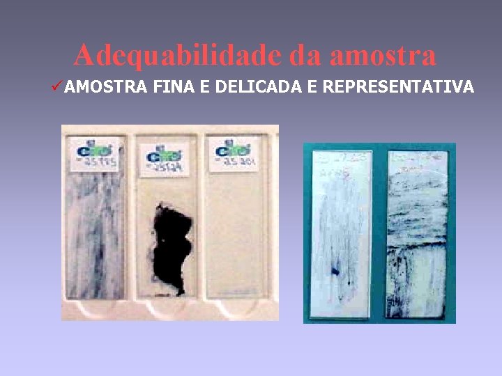 Adequabilidade da amostra üAMOSTRA FINA E DELICADA E REPRESENTATIVA 