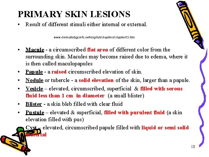 PRIMARY SKIN LESIONS • Result of different stimuli either internal or external. www. dermatologyinfo. PRIMARY SKIN LESIONS • Result of different stimuli either internal or external. www. dermatologyinfo.