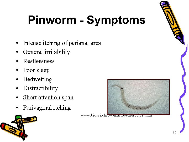 pinworms halitosis)
