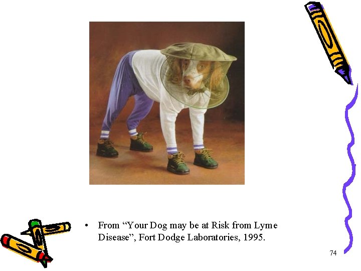 • From “Your Dog may be at Risk from Lyme Disease”, Fort Dodge • From “Your Dog may be at Risk from Lyme Disease”, Fort Dodge