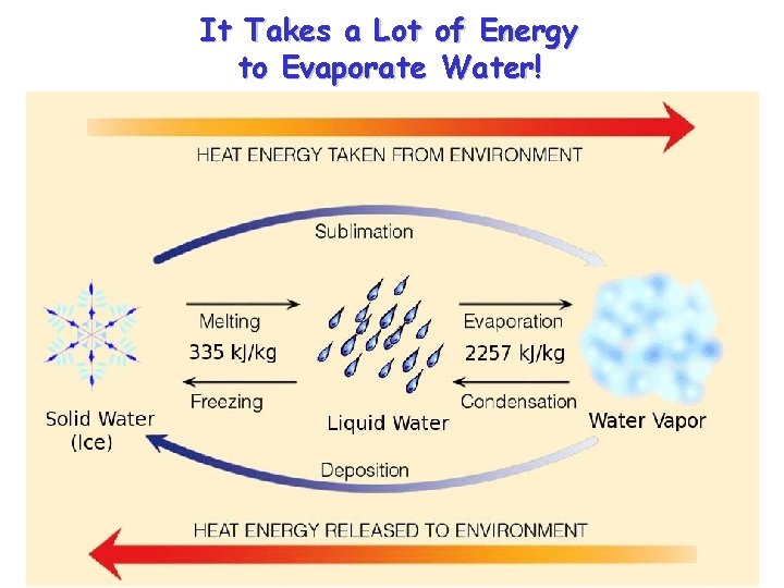 It Takes a Lot of Energy to Evaporate Water! 