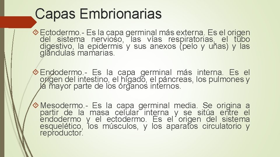 Capas Embrionarias Ectodermo. - Es la capa germinal más externa. Es el origen del