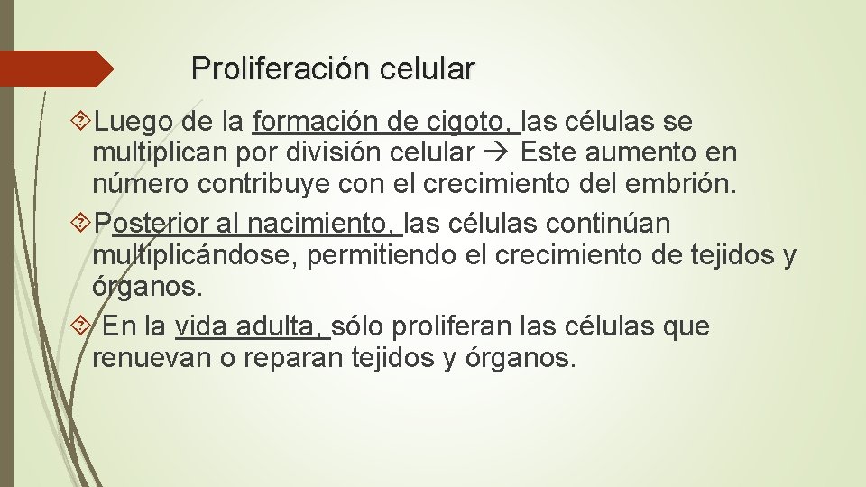 Proliferación celular Luego de la formación de cigoto, las células se multiplican por división