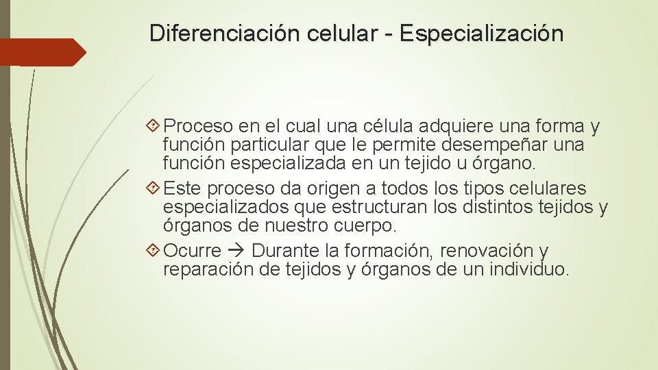 Diferenciación celular - Especialización Proceso en el cual una célula adquiere una forma y