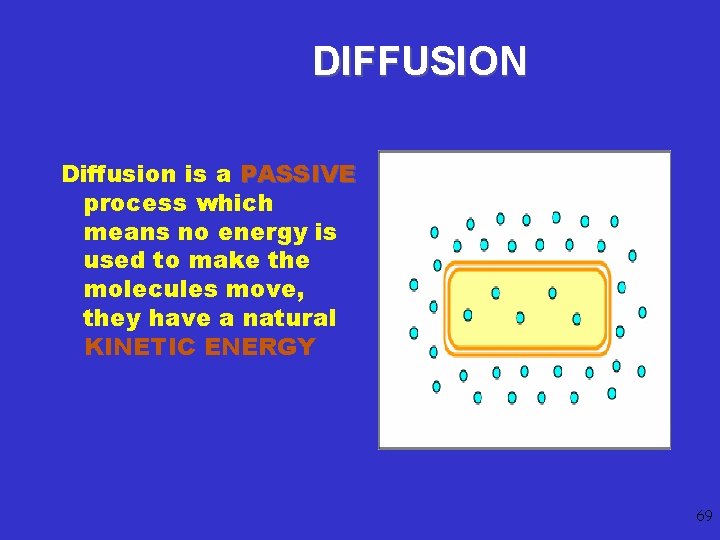 Basic Structure Of A Cell 1 Introduction To