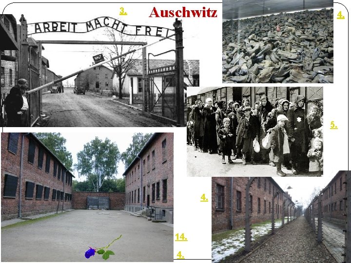 3. Auschwitz 4. 5. 4. 14. 6 EU do škol 4. 6. 3. 2021