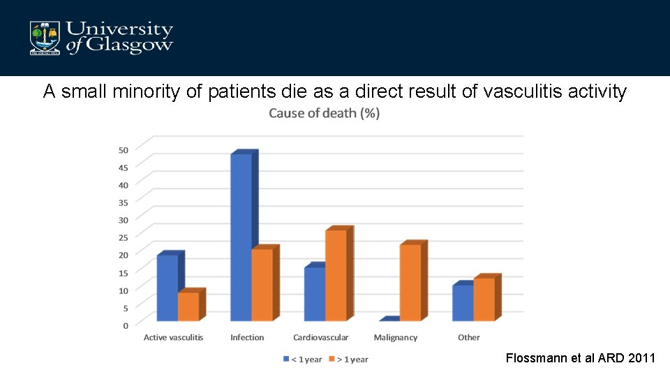 A small minority of patients die as a direct result of vasculitis activity Flossmann