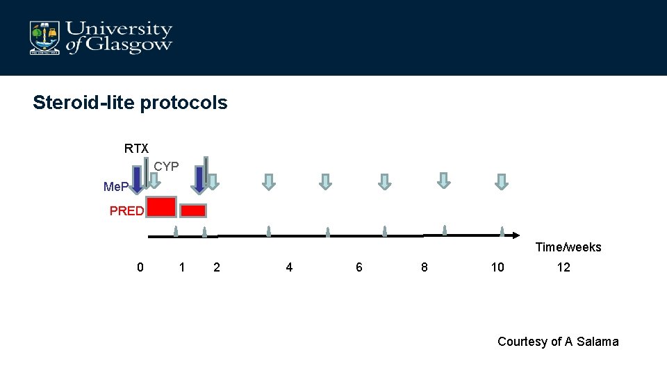 Steroid-lite protocols RTX CYP Me. P PRED Time/weeks 0 1 2 4 6 8