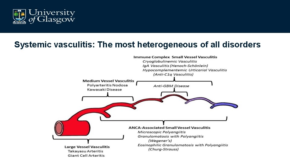 Systemic vasculitis: The most heterogeneous of all disorders 