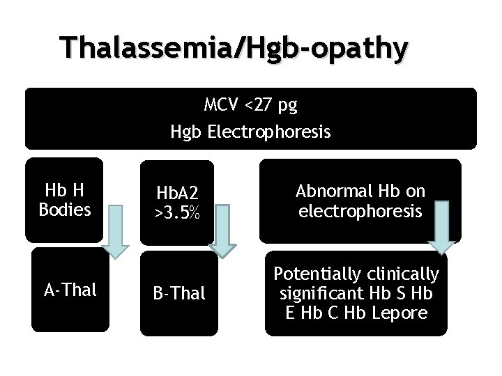 Thalassemia/Hgb-opathy MCV <27 pg Hgb Electrophoresis Hb H Bodies A-Thal Hb. A 2 >3.