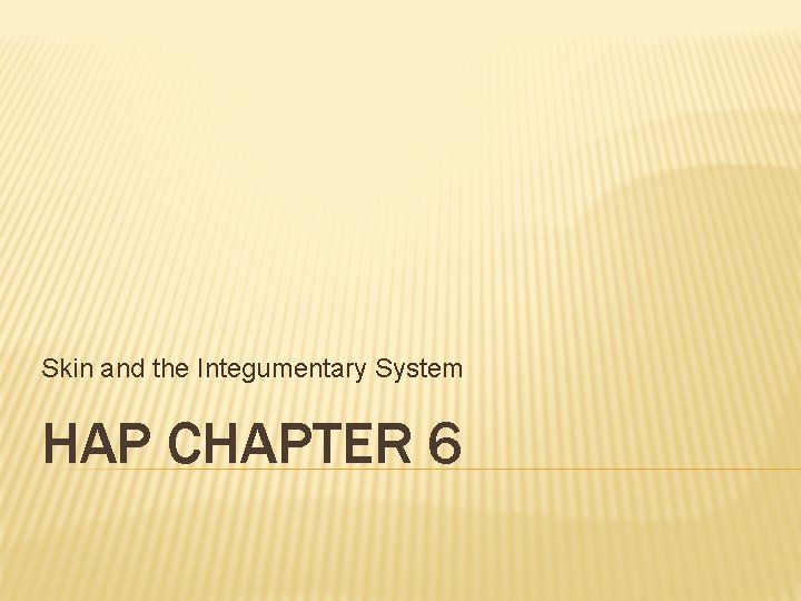 Skin and the Integumentary System HAP CHAPTER 6 Skin and the Integumentary System HAP CHAPTER 6