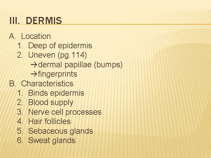 III. DERMIS A. Location 1. Deep of epidermis 2. Uneven (pg. 114) dermal papillae III. DERMIS A. Location 1. Deep of epidermis 2. Uneven (pg. 114) dermal papillae