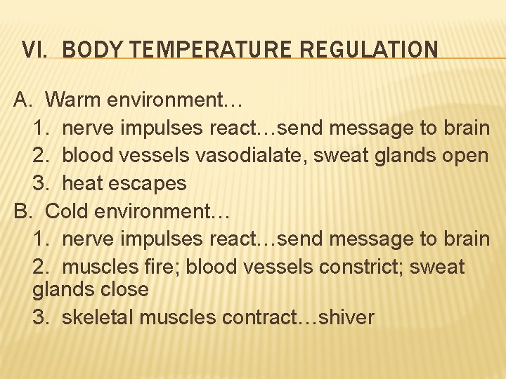VI. BODY TEMPERATURE REGULATION A. Warm environment… 1. nerve impulses react…send message to brain VI. BODY TEMPERATURE REGULATION A. Warm environment… 1. nerve impulses react…send message to brain