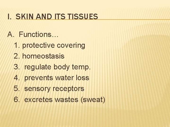 I. SKIN AND ITS TISSUES A. Functions… 1. protective covering 2. homeostasis 3. regulate I. SKIN AND ITS TISSUES A. Functions… 1. protective covering 2. homeostasis 3. regulate