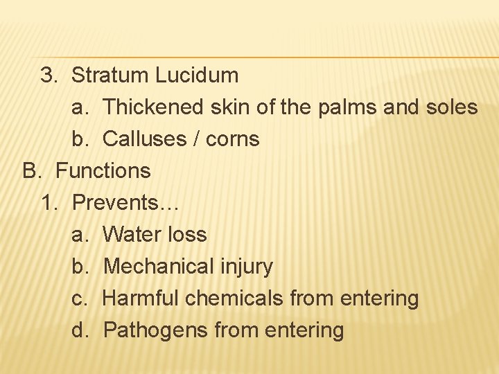 3. Stratum Lucidum a. Thickened skin of the palms and soles b. Calluses / 3. Stratum Lucidum a. Thickened skin of the palms and soles b. Calluses /