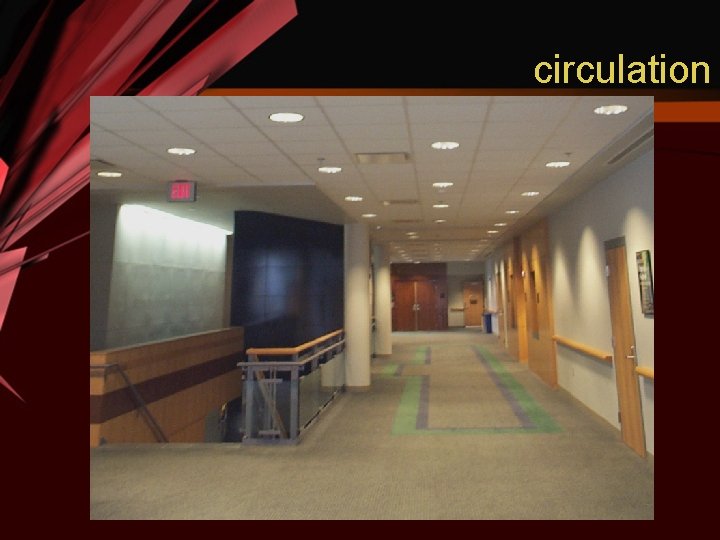 circulation 