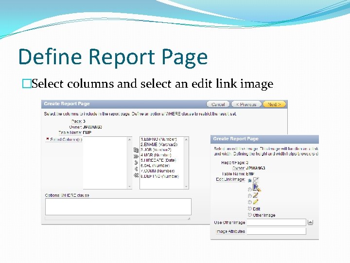 Define Report Page �Select columns and select an edit link image Define Report Page �Select columns and select an edit link image