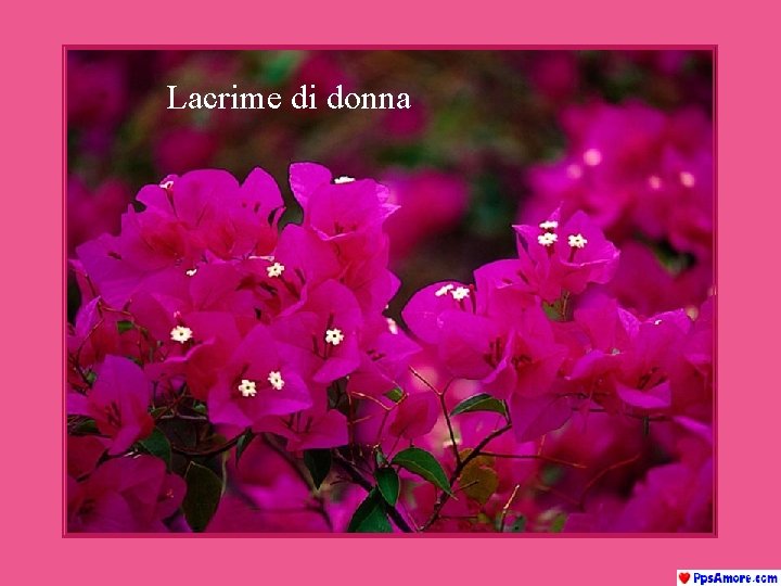 Lacrime di donna 
