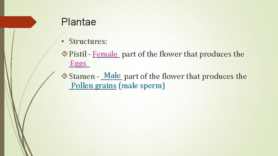 Plantae • Structures: Pistil - Female _____ part of the flower that produces the