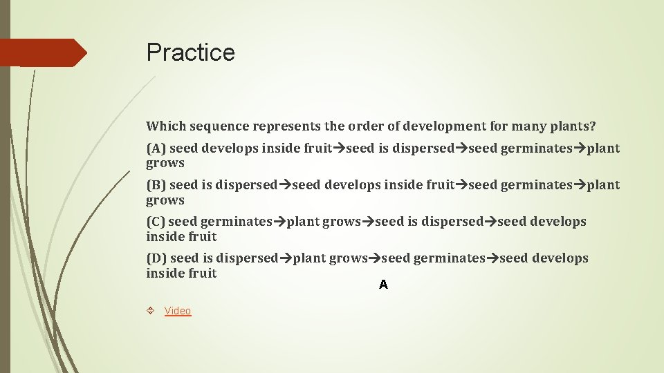 Practice Which sequence represents the order of development for many plants? (A) seed develops