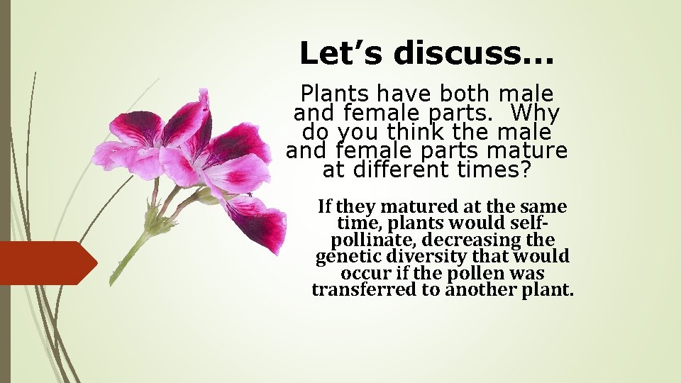 Let’s discuss. . . Plants have both male and female parts. Why do you