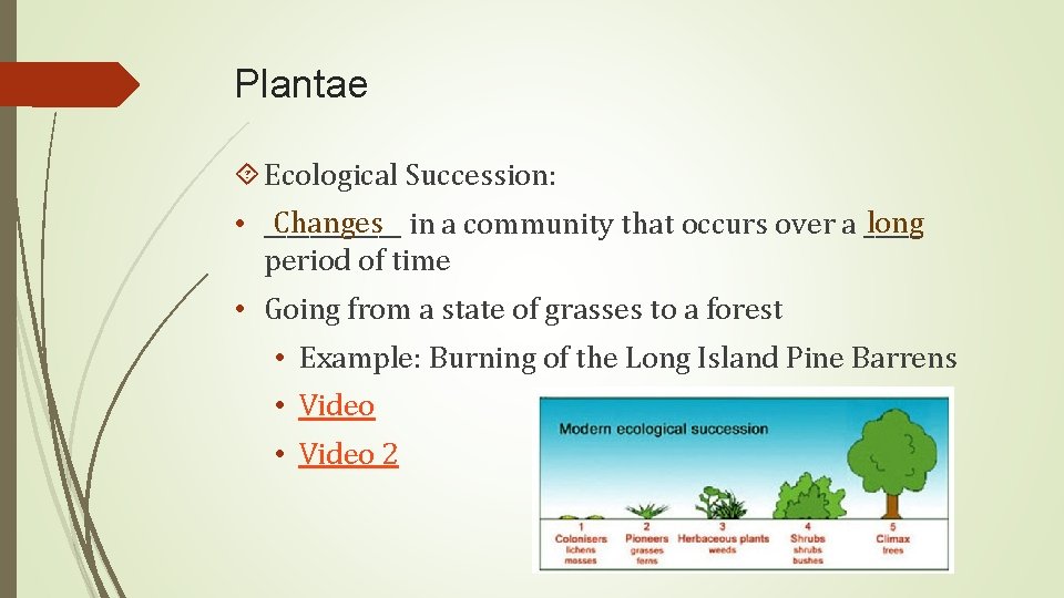 Plantae Ecological Succession: Changes in a community that occurs over a _____ long •