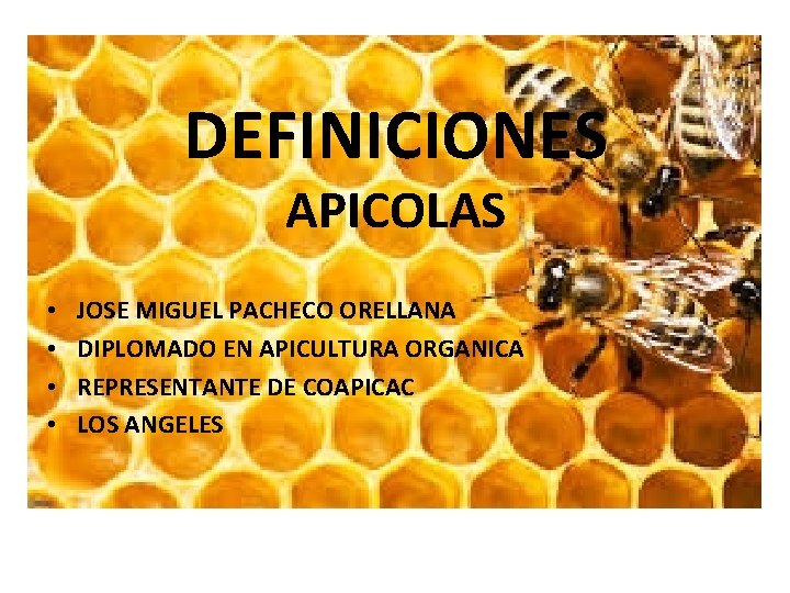 DEFINICIONES APICOLAS • • JOSE MIGUEL PACHECO ORELLANA DIPLOMADO EN APICULTURA ORGANICA REPRESENTANTE DE