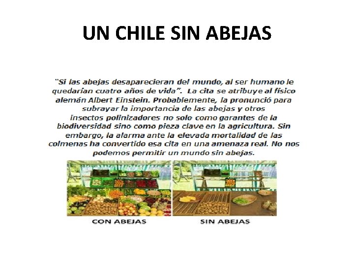 UN CHILE SIN ABEJAS 