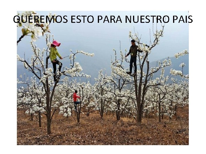 QUEREMOS ESTO PARA NUESTRO PAIS 
