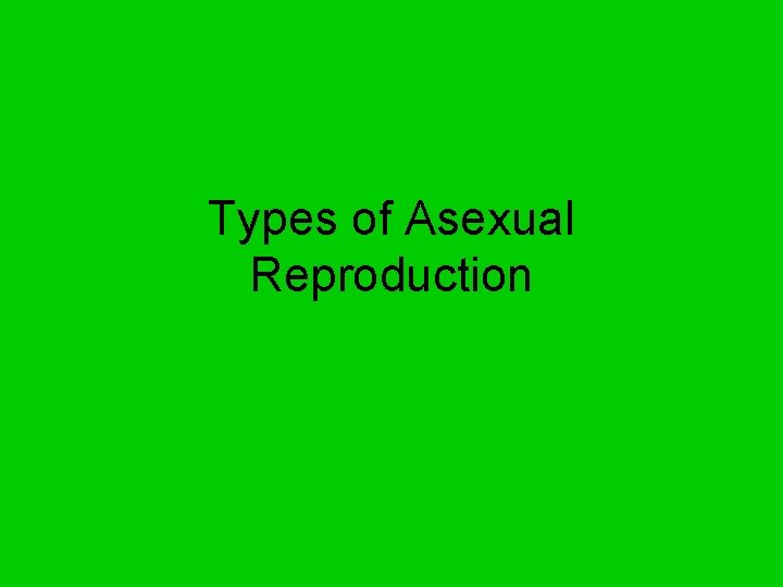 Types of Asexual Reproduction 