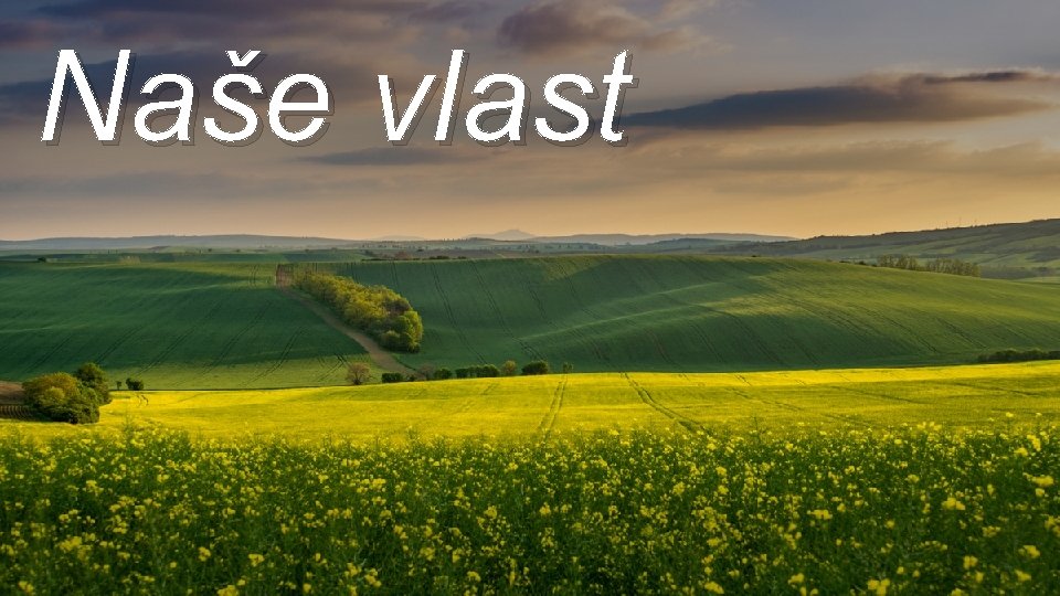 Naše vlast 