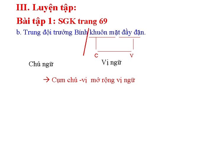 III. Luyện tập: Bài tập 1: SGK trang 69 b. Trung đội trưởng Bính