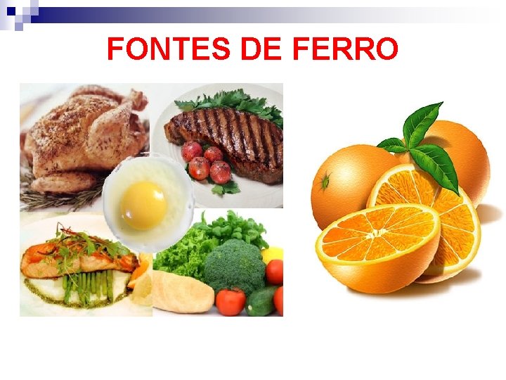 FONTES DE FERRO 