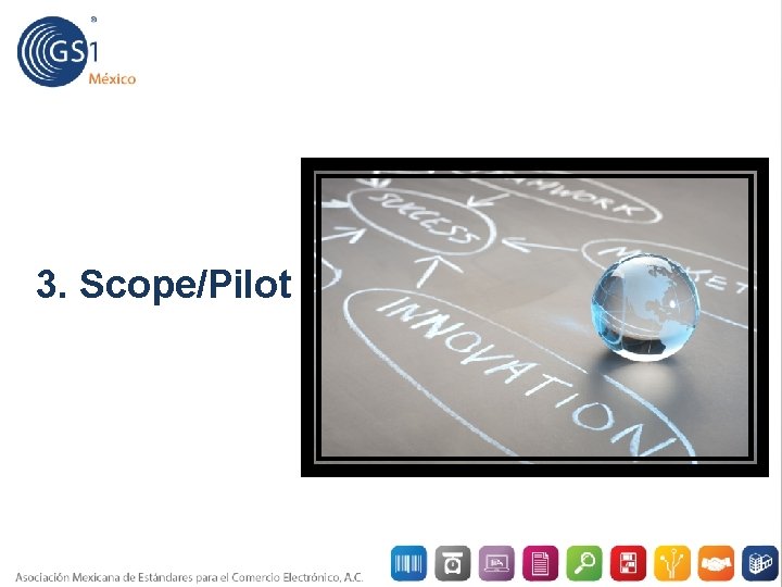3. Scope/Pilot 