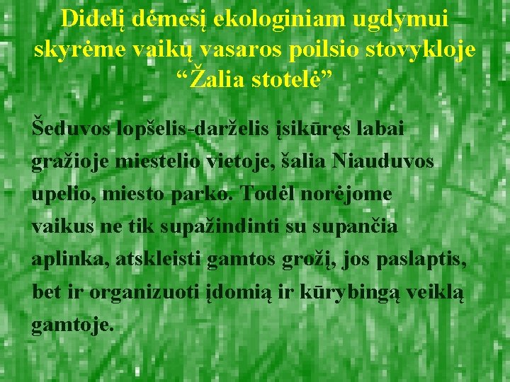 Didelį dėmesį ekologiniam ugdymui skyrėme vaikų vasaros poilsio stovykloje “Žalia stotelė” Šeduvos lopšelis-darželis įsikūręs