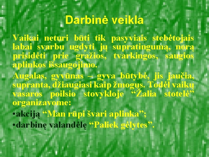 Darbinė veikla Vaikai neturi būti tik pasyviais stebėtojais labai svarbu ugdyti jų supratingumą, norą