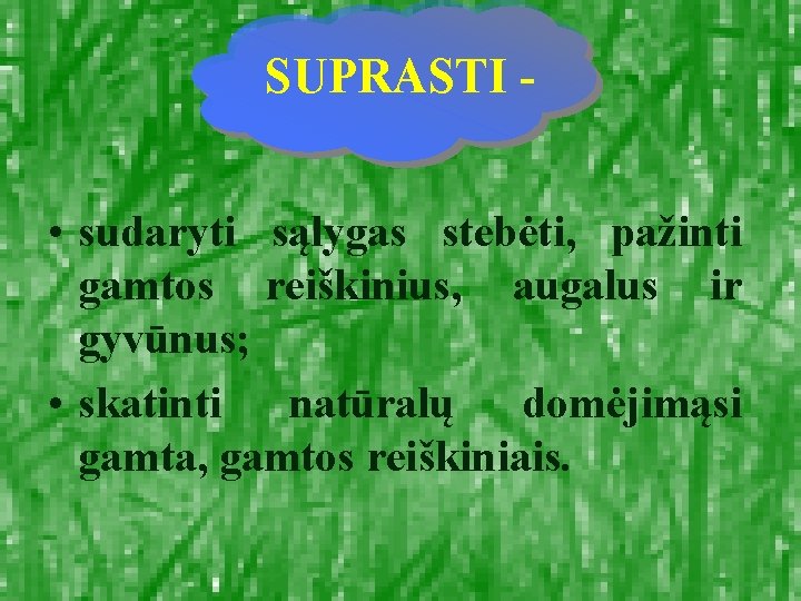 SUPRASTI • sudaryti sąlygas stebėti, pažinti gamtos reiškinius, augalus ir gyvūnus; • skatinti natūralų