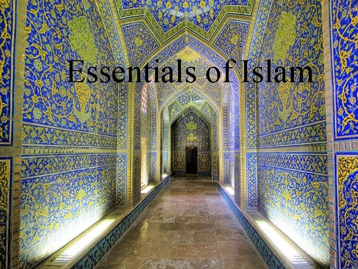 Essentials of Islam 