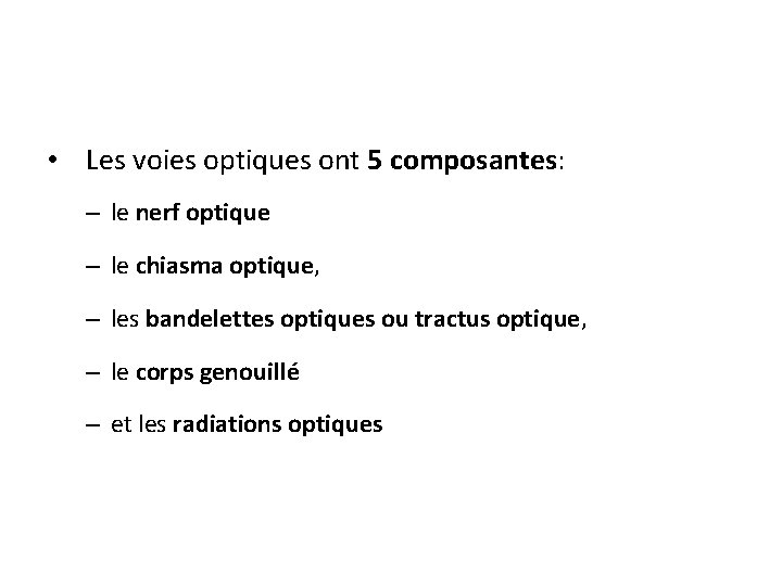  • Les voies optiques ont 5 composantes: – le nerf optique – le