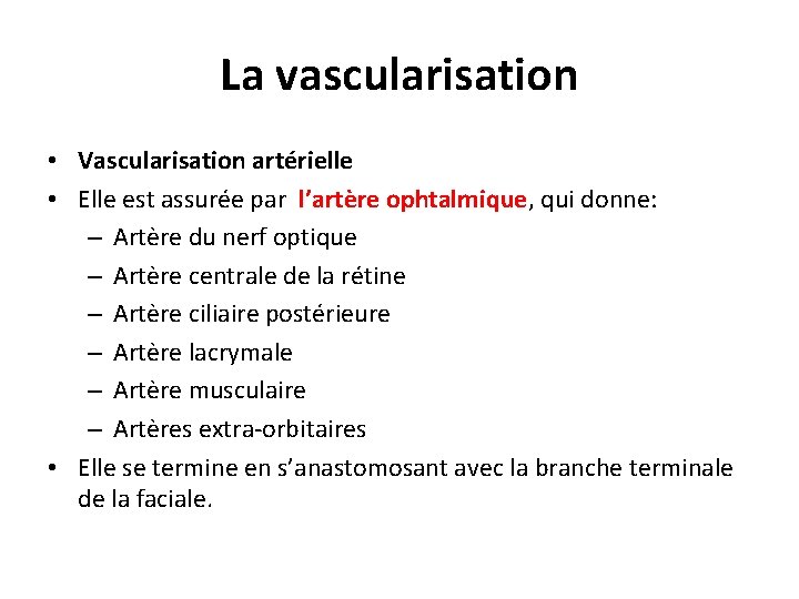 La vascularisation • Vascularisation artérielle • Elle est assurée par l’artère ophtalmique, qui donne: