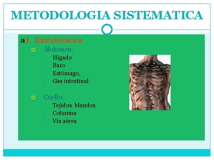 METODOLOGIA SISTEMATICA a) Extratorácica Abdomen: Hígado Bazo Estómago, Gas intestinal Cuello: Tejidos blandos Columna